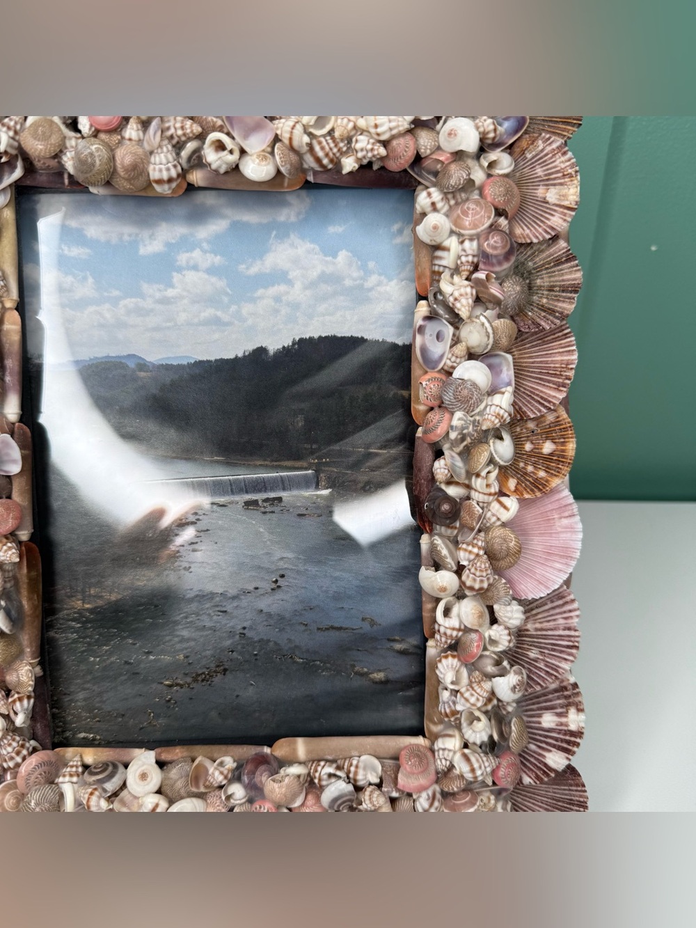 Seashell Shell Photo Picture Frame Natural Coastal Beachy Beach House Decor - Picture 8 of 16